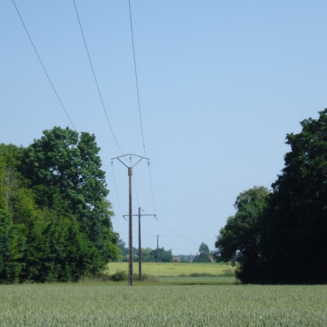 Image illustration de Service public de l’électricité